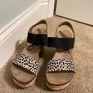 Cheetah OTBT